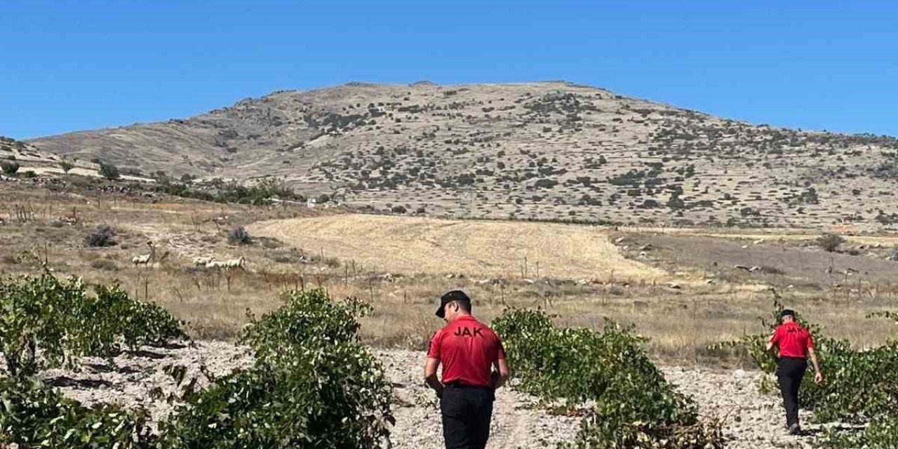 Kaybolan Küçükbaş Hayvanları Jak Buldu