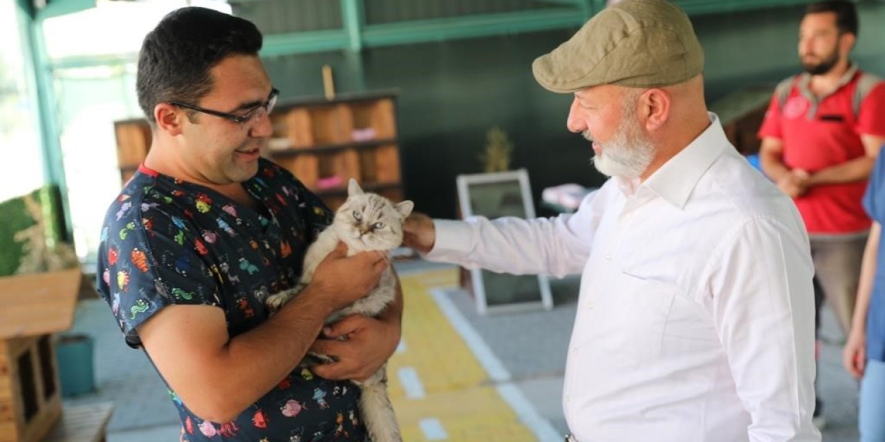 Kayseri’de İlk Olan ‘küçük Dostlar Kedi Kasabası’ Ziyaretçi Akınına Uğruyor
