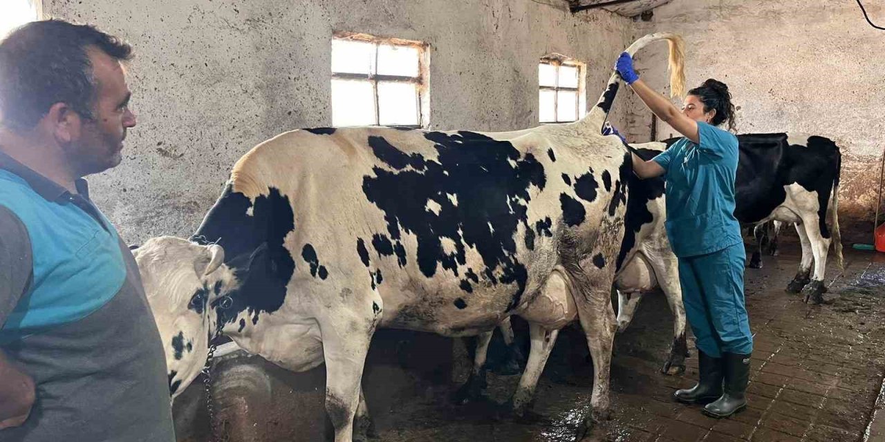 Hastalıktan Ari 200 İşletme Hedefiyle Çalışmalar Devam Ediyor