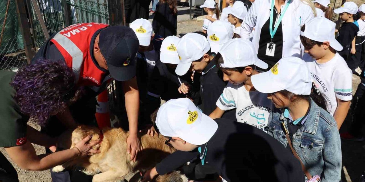 Hayvanları Koruma Günü’nde Anlamlı Etkinlik