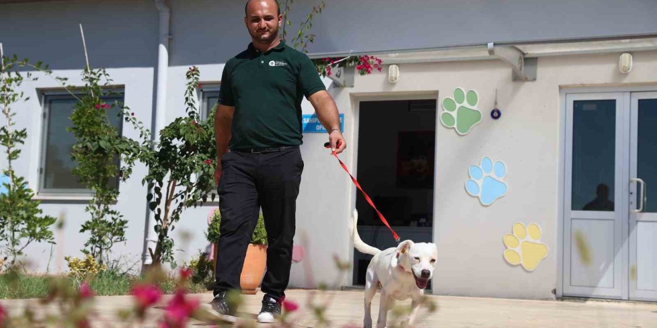 Antalyaspor’un Yeni Misafiri: ’akrep’