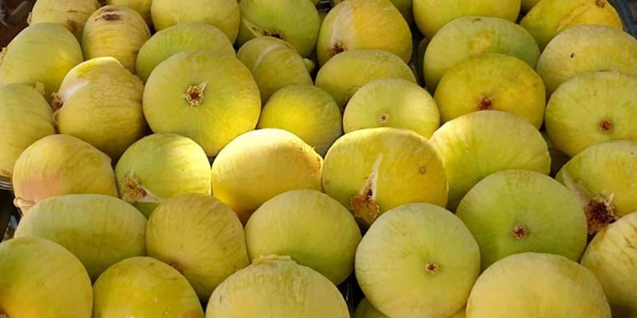 Mersin’de İncirin Sezonu 80 Lirayla Kapatması Üreticinin Yüzünü Güldürdü