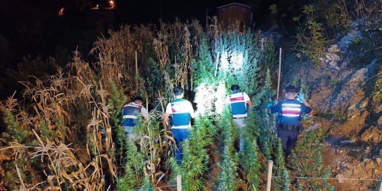 Mersin’de Uyuşturucu Yetiştirenlere Operasyon: 3 Gözaltı