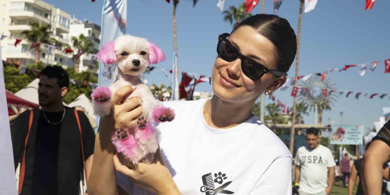 Hayvanseverler, Mersin Patifest’te Buluştu