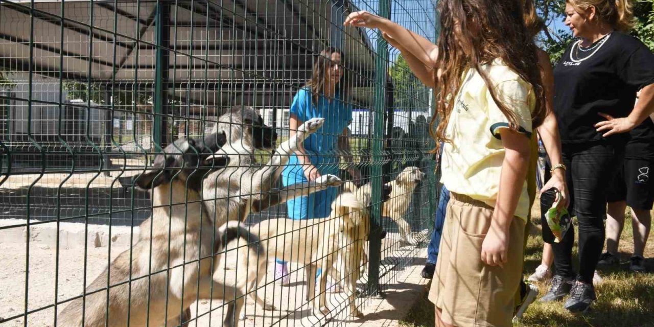 Çocuklar Hayvan Bakımevini Gezdi