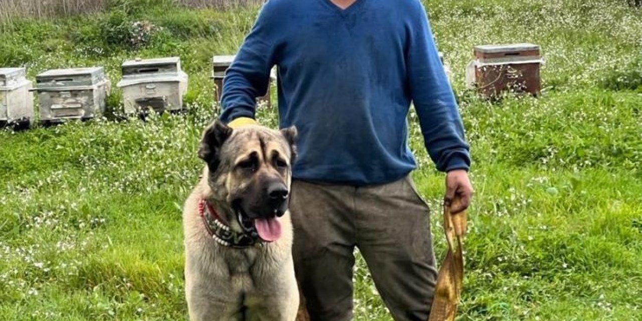 İskeleden Denize Atlayıp Kuma Çakılan Genç, 1 Aylık Yaşam Savaşını Kaybetti