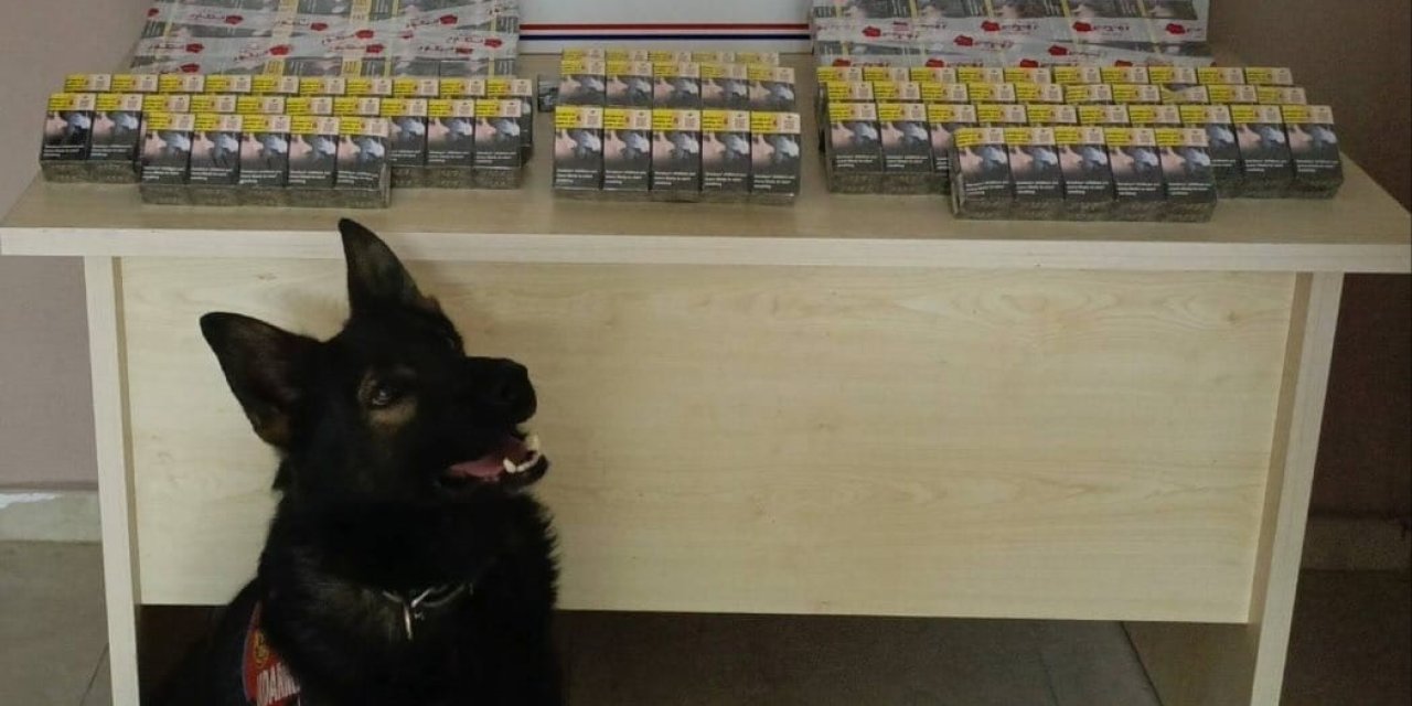 Kontrol İçin Durdurulan Kamyonda Kaçak Sigara Yakalandı