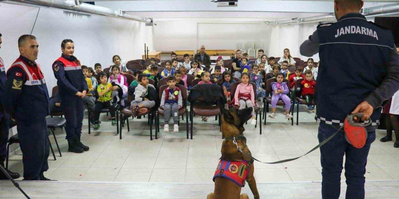 Jandarma Ekipleri Hayvanları Koruma Günüyle İlgili Etkinlik Gerçekleştirdi