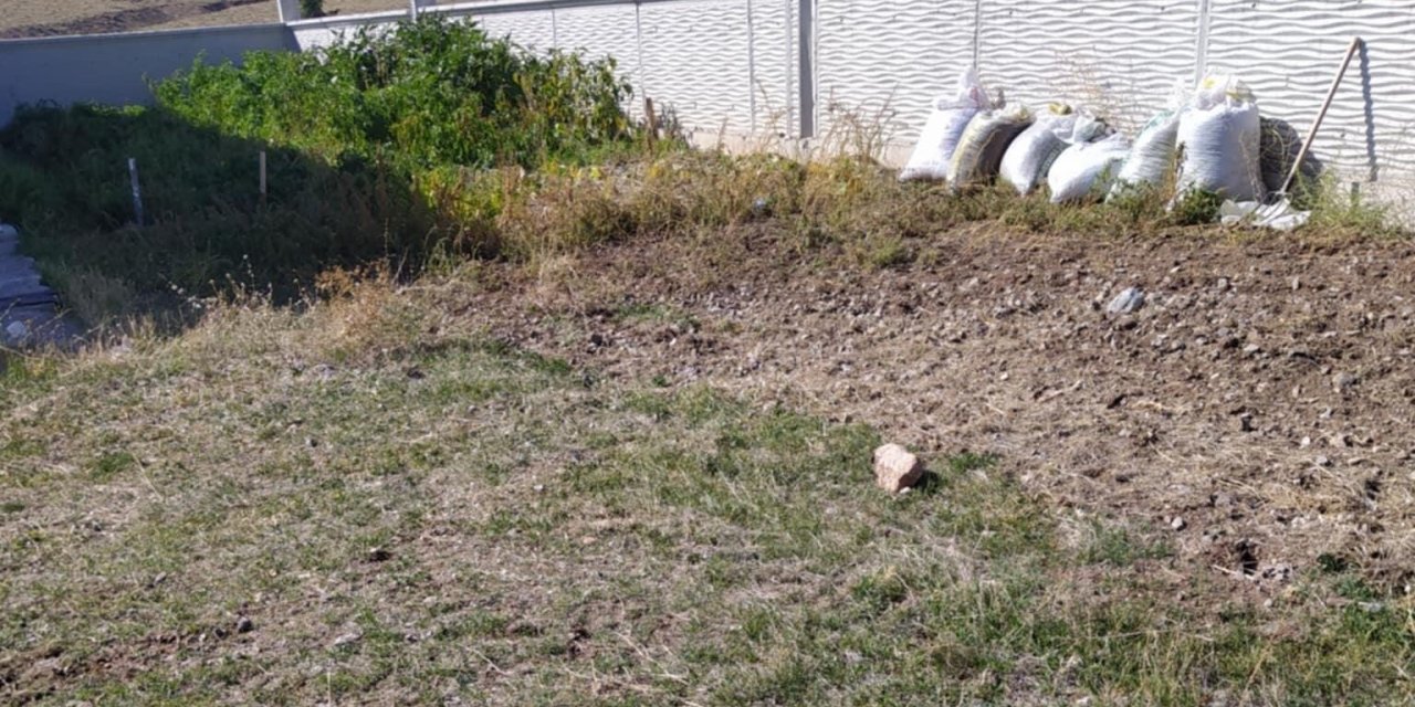 Konya’da Yaşlı Çift Yedikleri Mantardan Zehirlendi