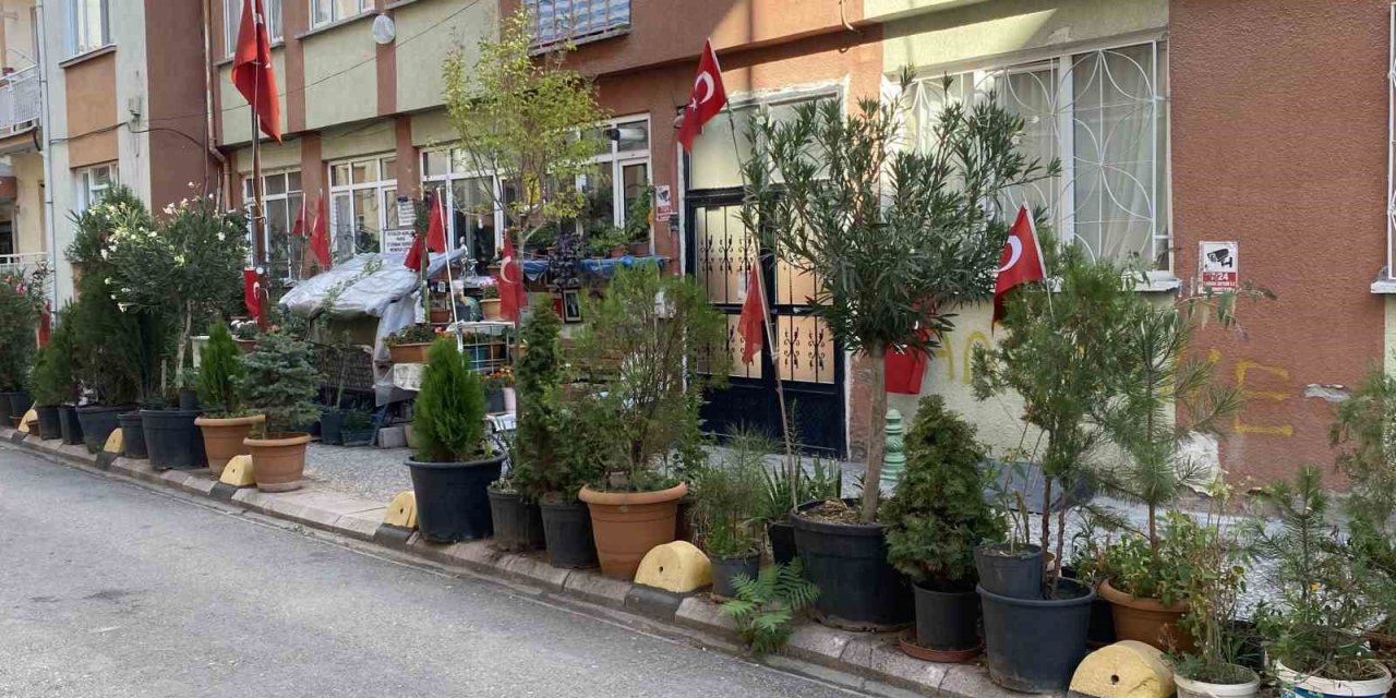 ’sevgililer Aşıklar Parkı’ Renkli Görüntüsüyle Dikkat Çekiyor