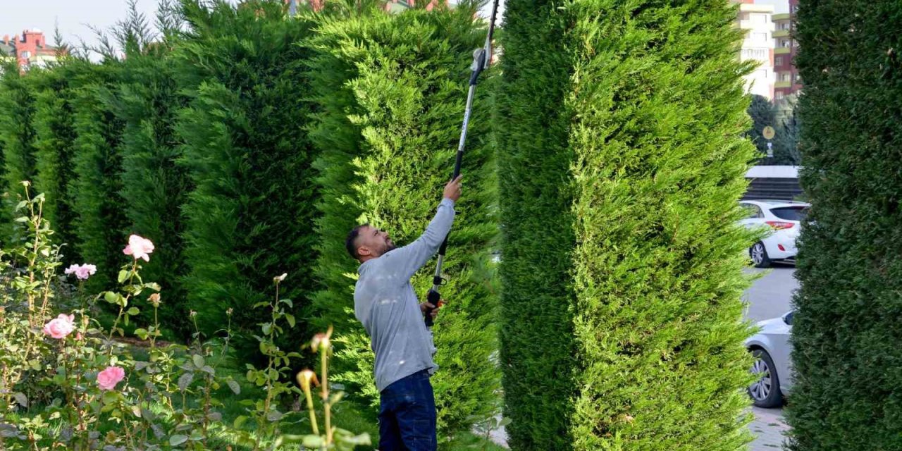 Meram’ın Park Ve Bahçelerine Kış Bakımı