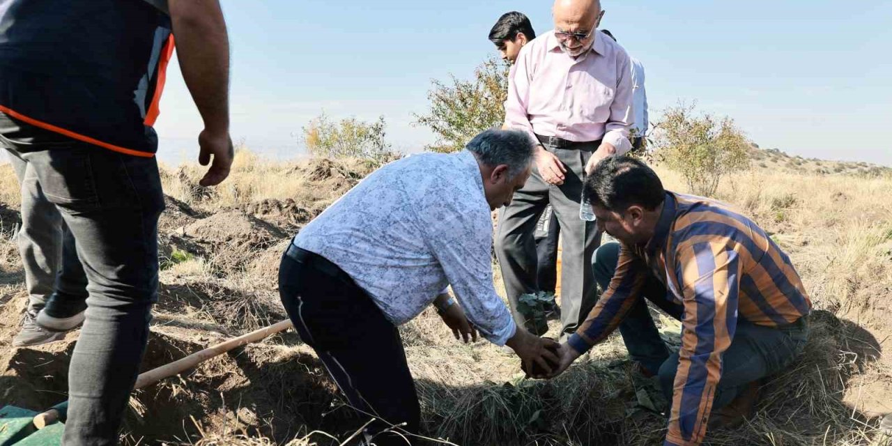 Başkan Yalçın: "diktiğiniz Fidanlar Dünyaya İyilik Olarak Yansıyacak"