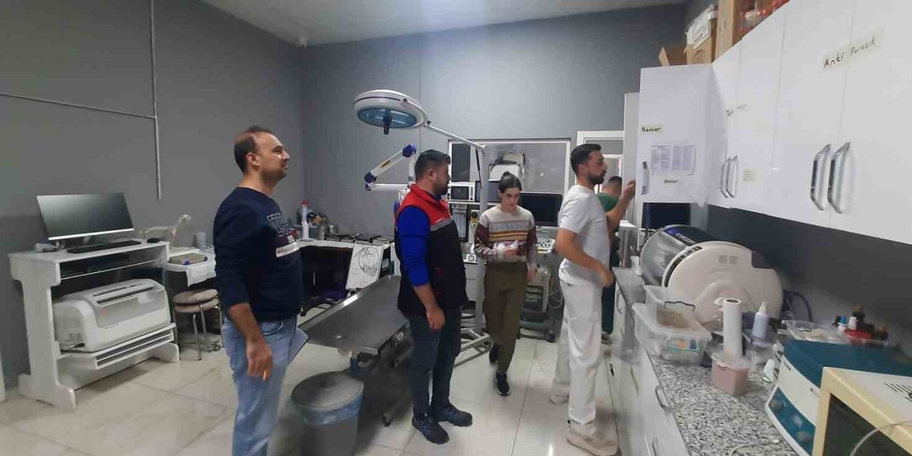 Veteriner Klinik, Poliklinik Ve Hayvan Hastaneleri Denetleniyor