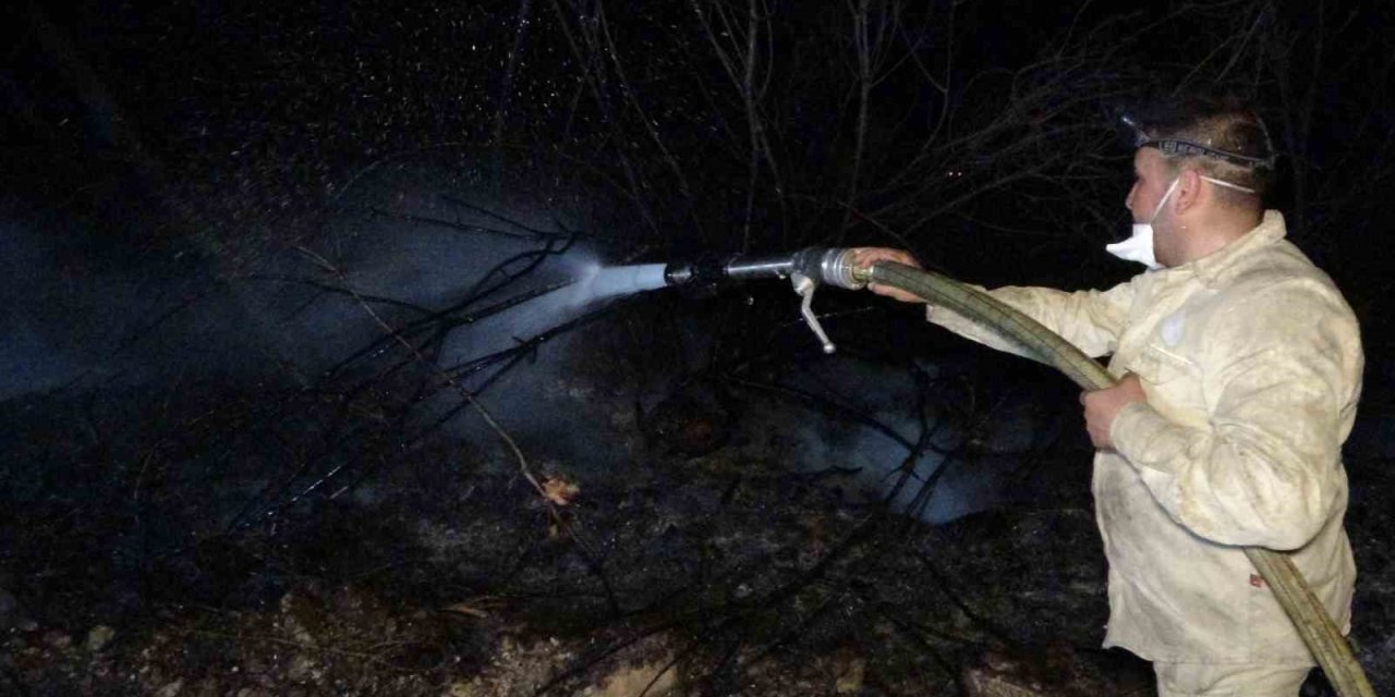 Mersin’de Orman Yangınları: Çok Sayıda Ekip Müdahale Ederek Söndürdü