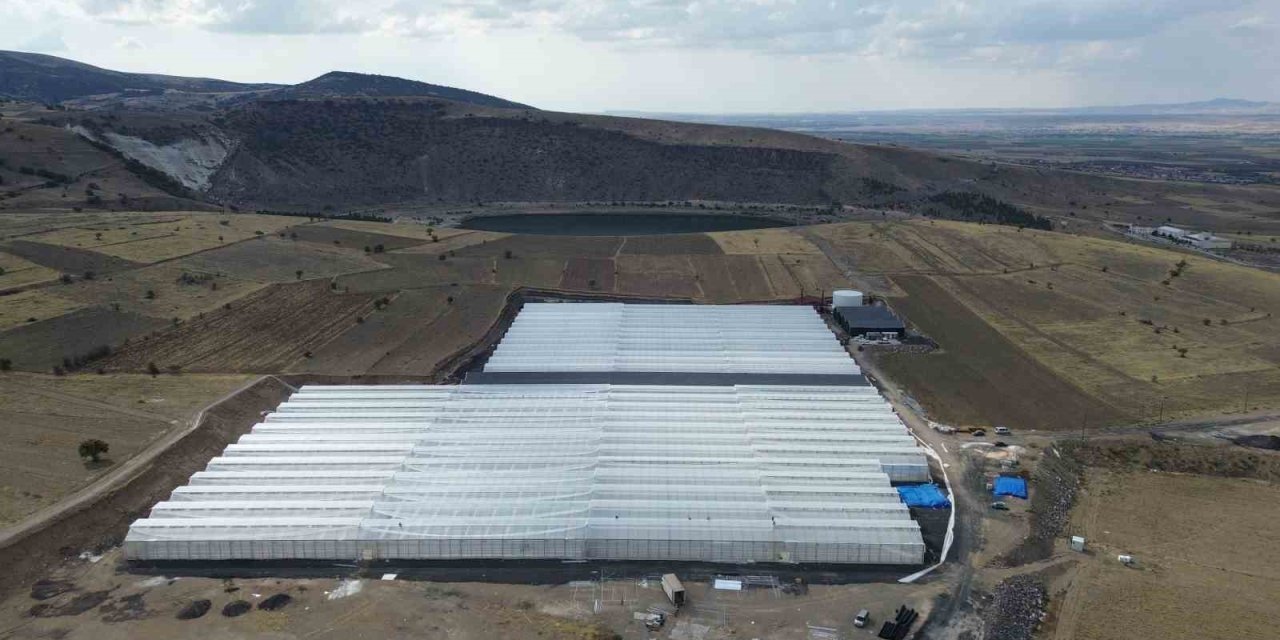 Niğde’nin Jeotermal Potansiyeli İle Topraksız Tarım Üretimi