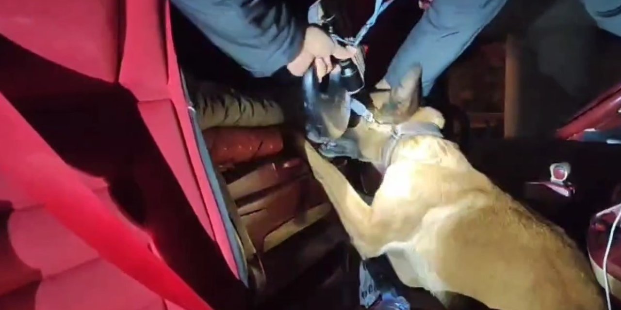 Uyuşturucu Mia’nın Burnundan Kaçamadı