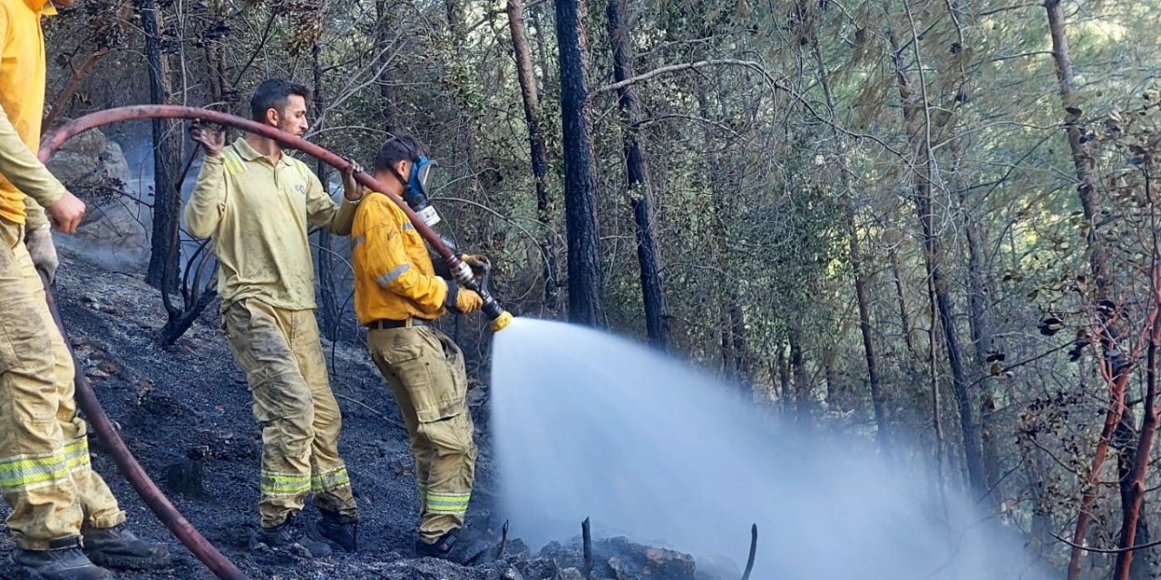 Mersin’de Orman Yangını Havadan Ve Karadan Müdahaleyle Söndürüldü