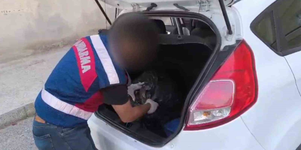 Mersin’de Jandarmadan Uyuşturucu Operasyonu: 2 Tutuklu