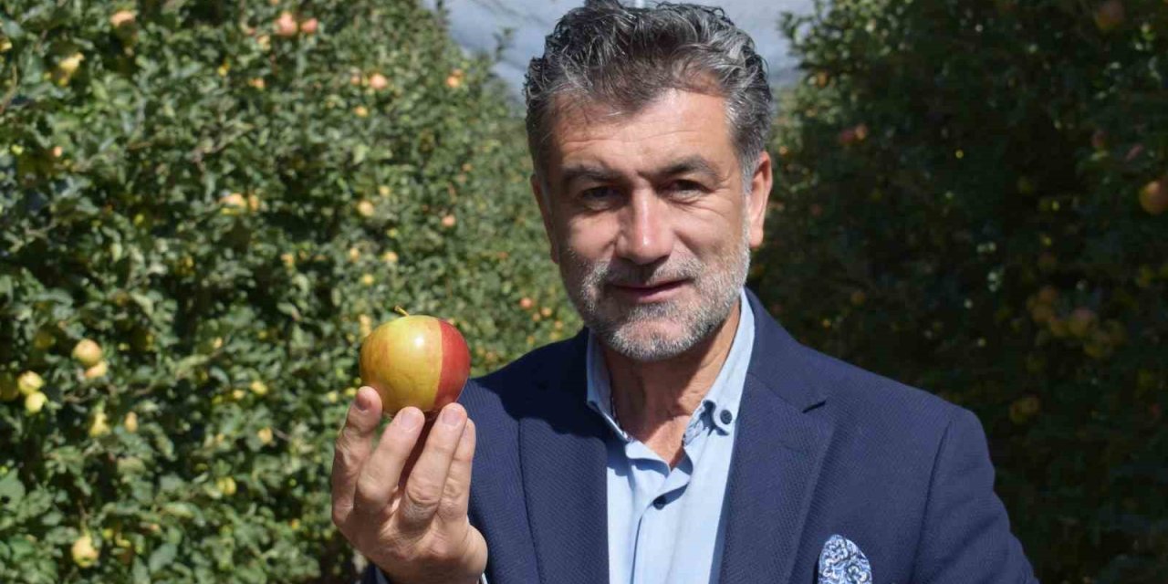 Karaman’da Sarı Kırmızı Elma Görenleri Şaşırtıyor