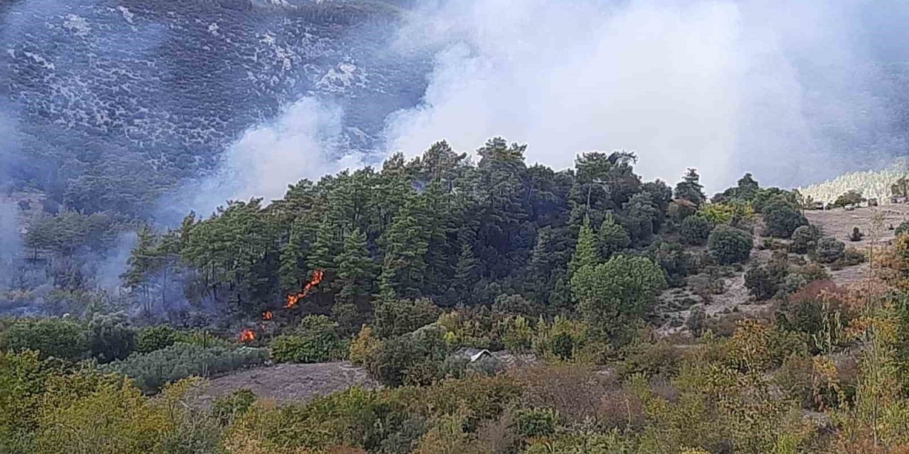 Kumluca’da Orman Yangınında Alevlerin Sıçradığı Ev Kullanılamaz Hale Geldi