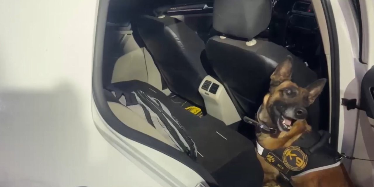 Uyuşturucu Tacirleri ’mia’nın Burnuna Takıldı