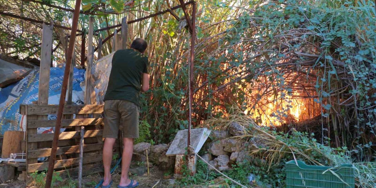 Antalya’da Sazlık Yangını: 3 Sera Zarar Gördü
