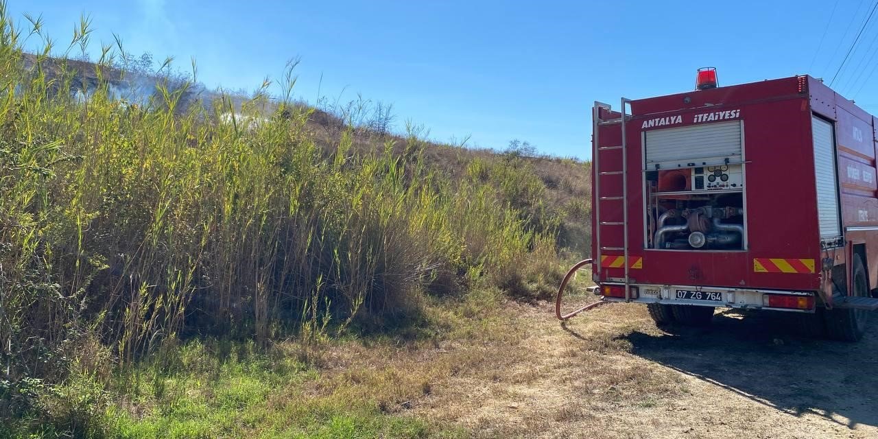 Parkta Çıkan Yangın Makilik Alana Sıçradı