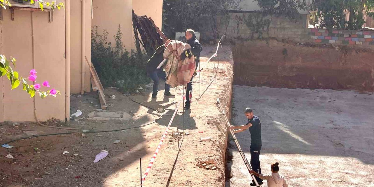 Görme Ve İşitme Engelli ’çarşaf’ Adlı Köpek İnşaat Sahasına Düştü, Battaniyeye Sarılarak Kurtarıldı