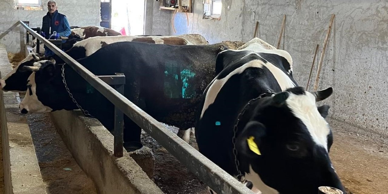 Beyşehir’de Şap Aşısı Kampanyasında Sona Doğru