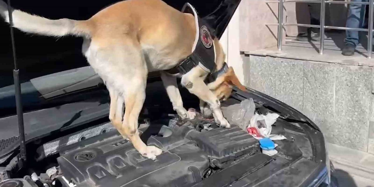 Kayseri’de 12 Kilo Uyuşturucu Ele Geçirildi