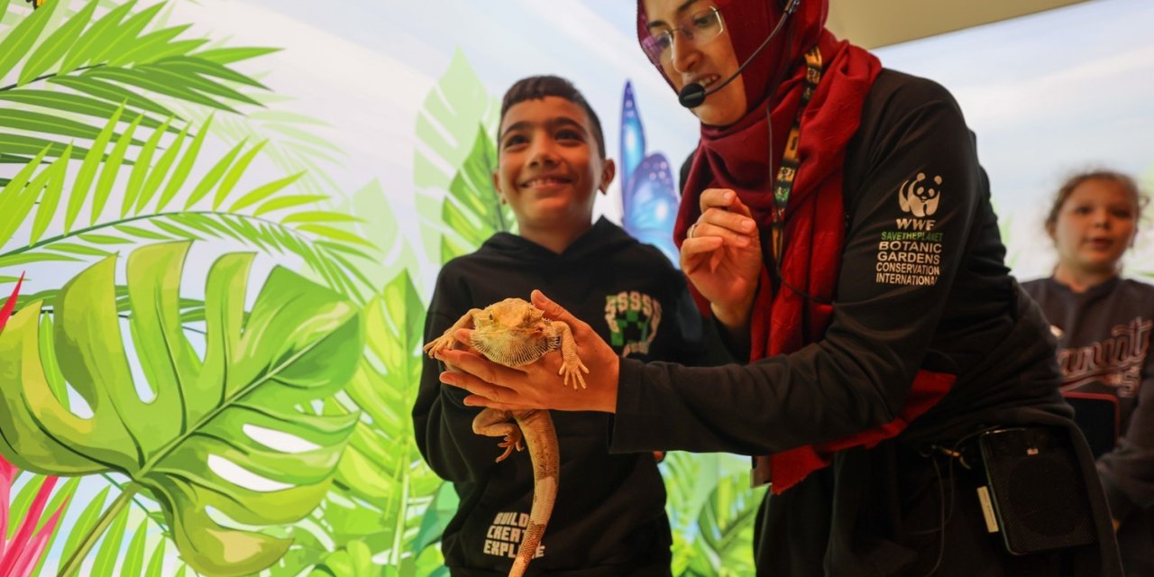 Öğrenciler Avustralya Çöllerinde Yaşayan Sakallı Ejderle Konya Tropikal Kelebek Bahçesi’nde Tanışıyor