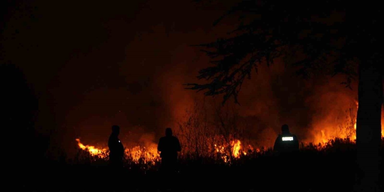 Beyşehir Gölü Milli Parkı’ndaki Sazlık Alan Yangını