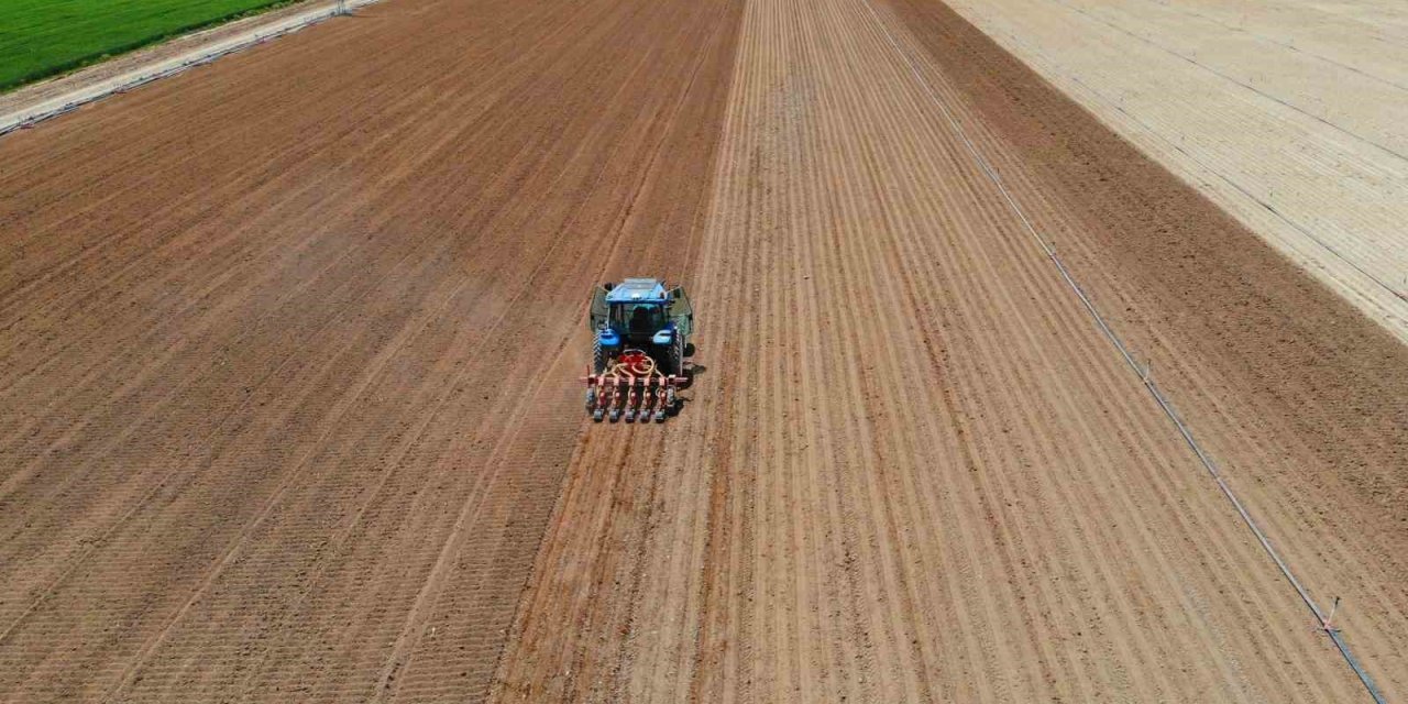 Hububat Ekiminde ’tasarruf Edelim’ Derken Zarara Uğramamak İçin Uzmanlardan Uyarı