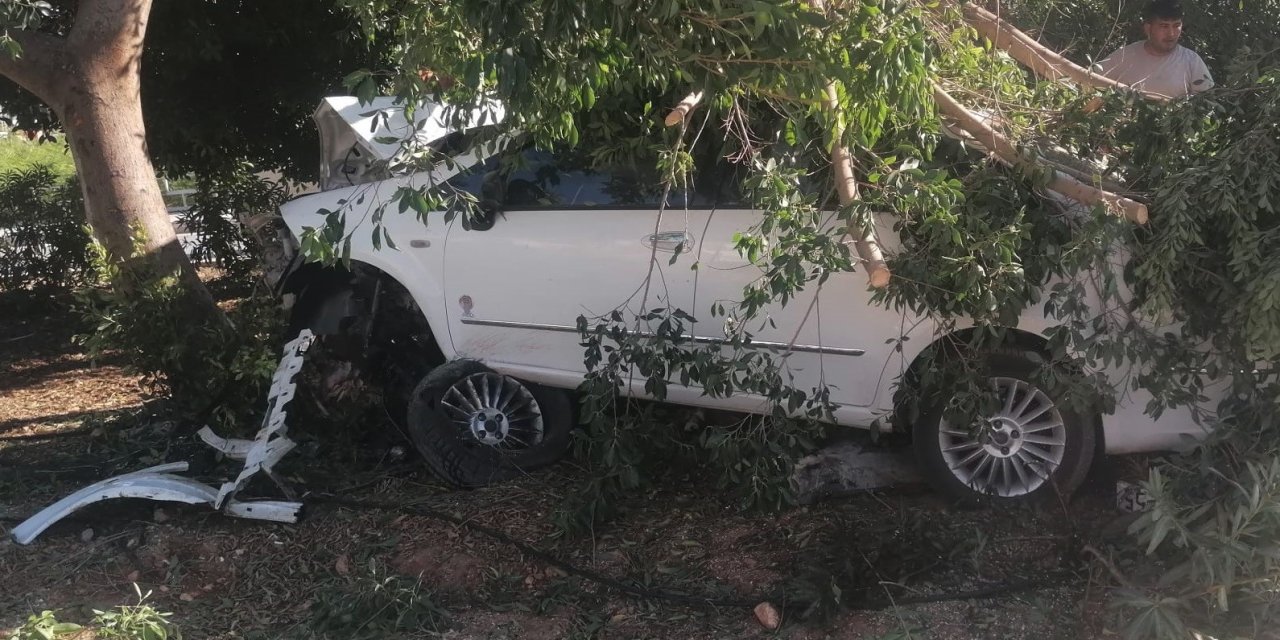Otomobil Ağaca Vurdu, Sürücü Yaralı Kurtuldu