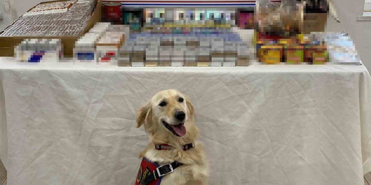 Beyşehir’de Kaçakçılara Jandarma Operasyonu