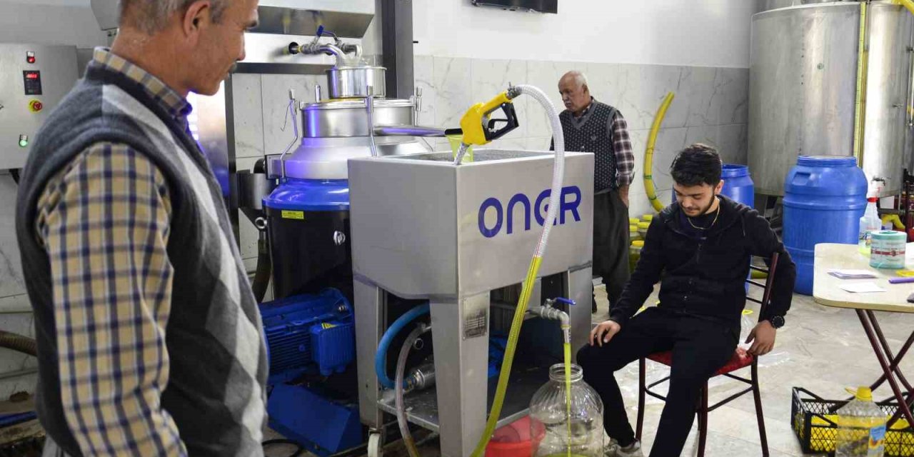 Mersin’de Üreticilerin Zeytinyağı Telaşı