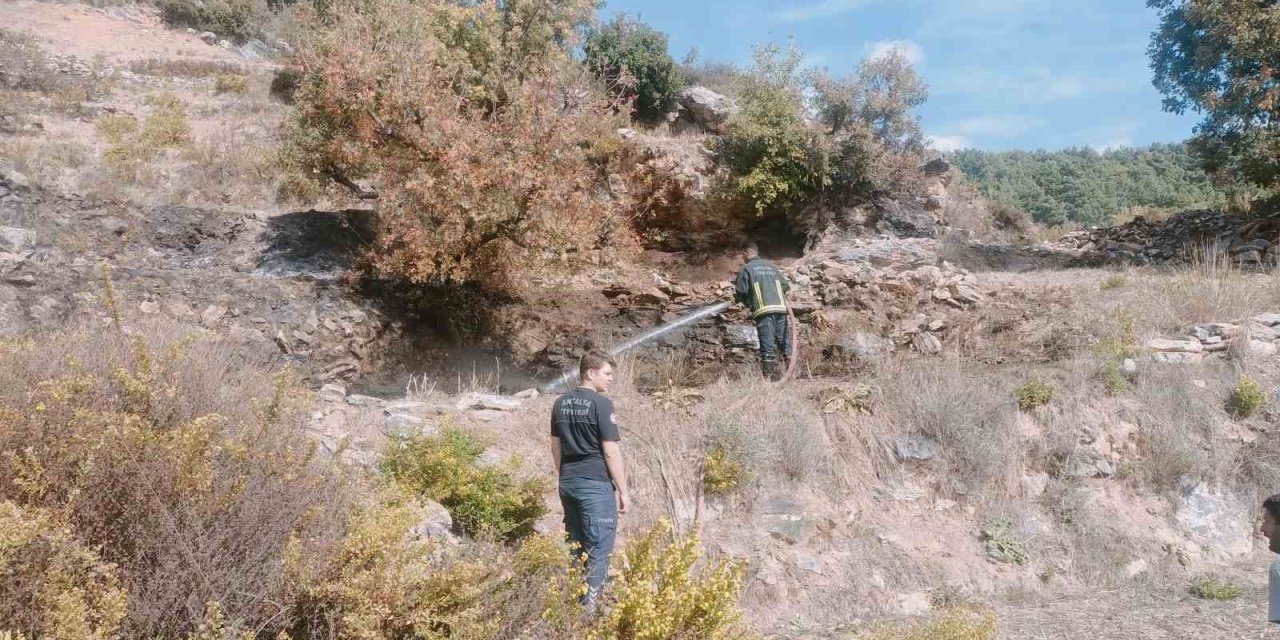 Alanya’da Merada Çıkan Yangın Kontrol Altına Alındı