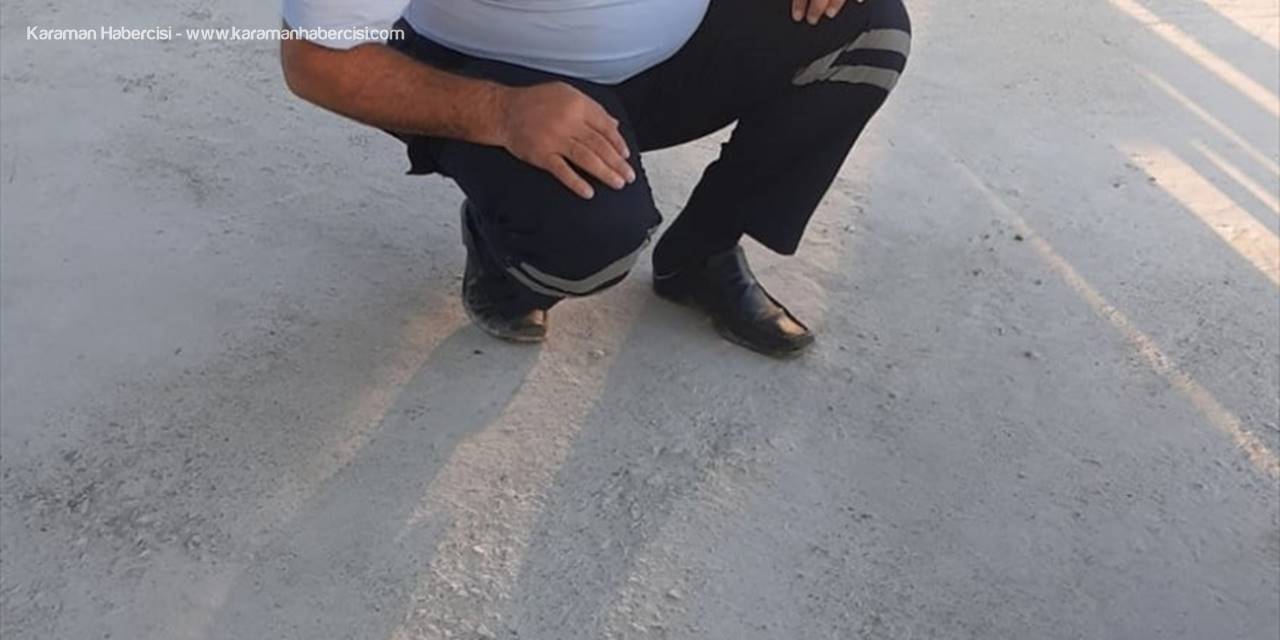 Yaralı İran Balıkçıl Kuşu Tedavi Altına Alındı