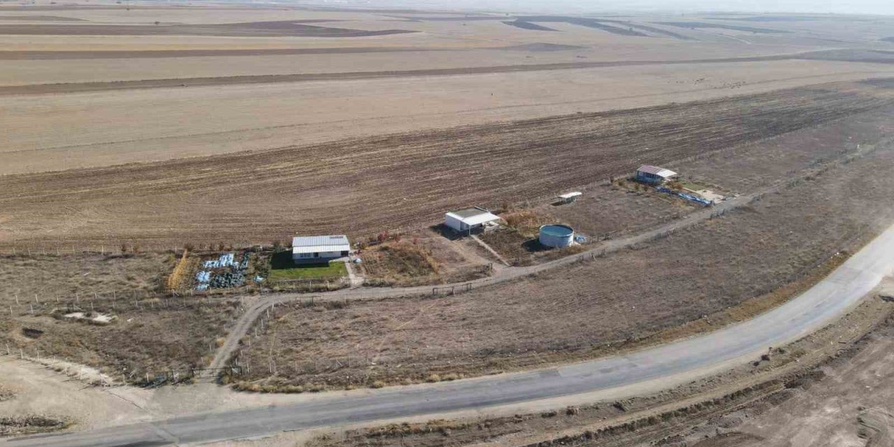 Odunpazarı Kaçak Yapıların Yıkımına Devam Ediyor