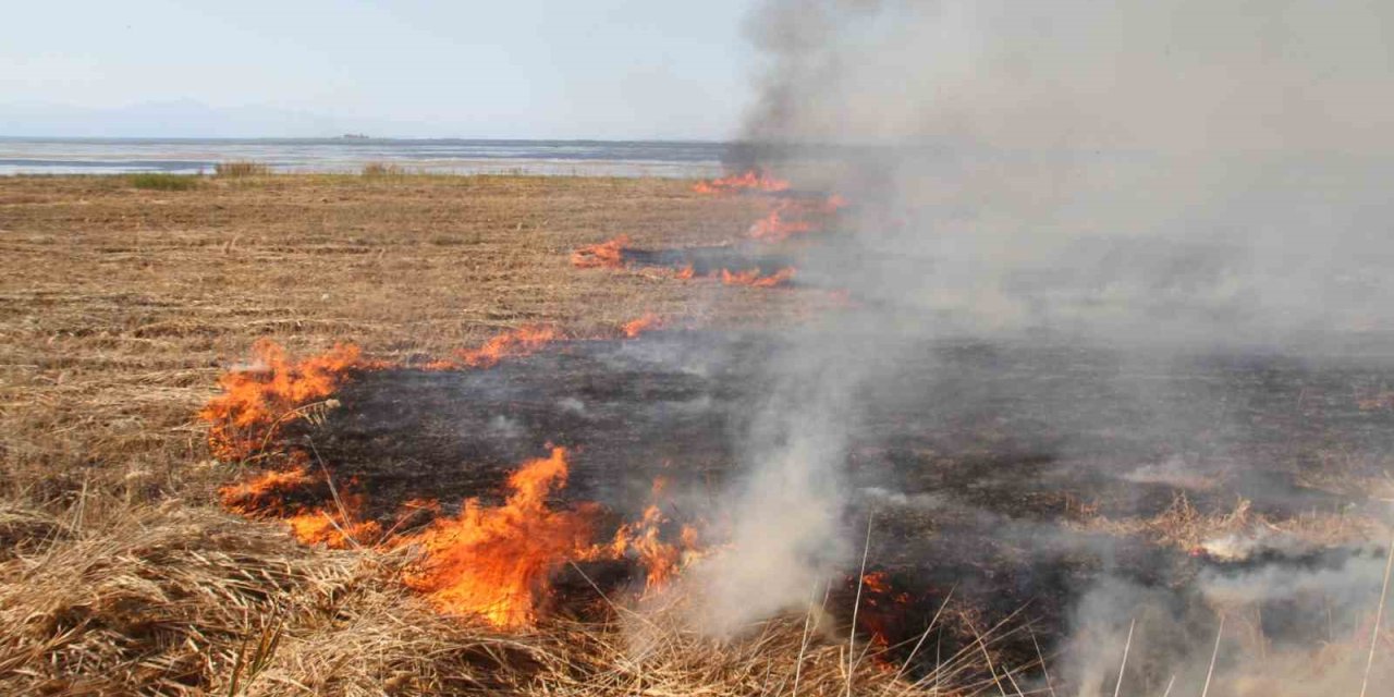 Beyşehir Gölü Milli Parkındaki Sazlık Alanda Yangın