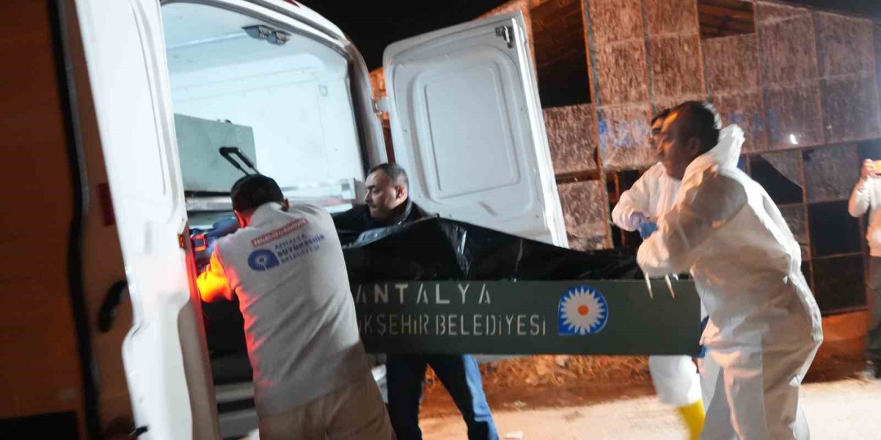 Antalya’da 2 Katlı Evde Çıkan Yangında Genç Kadın Hayatını Kaybetti