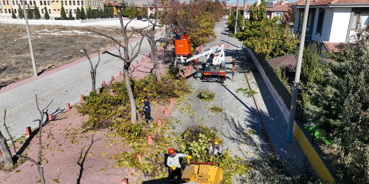 Selçuklu’da Ağaç Budama Çalışmaları Devam Ediyor
