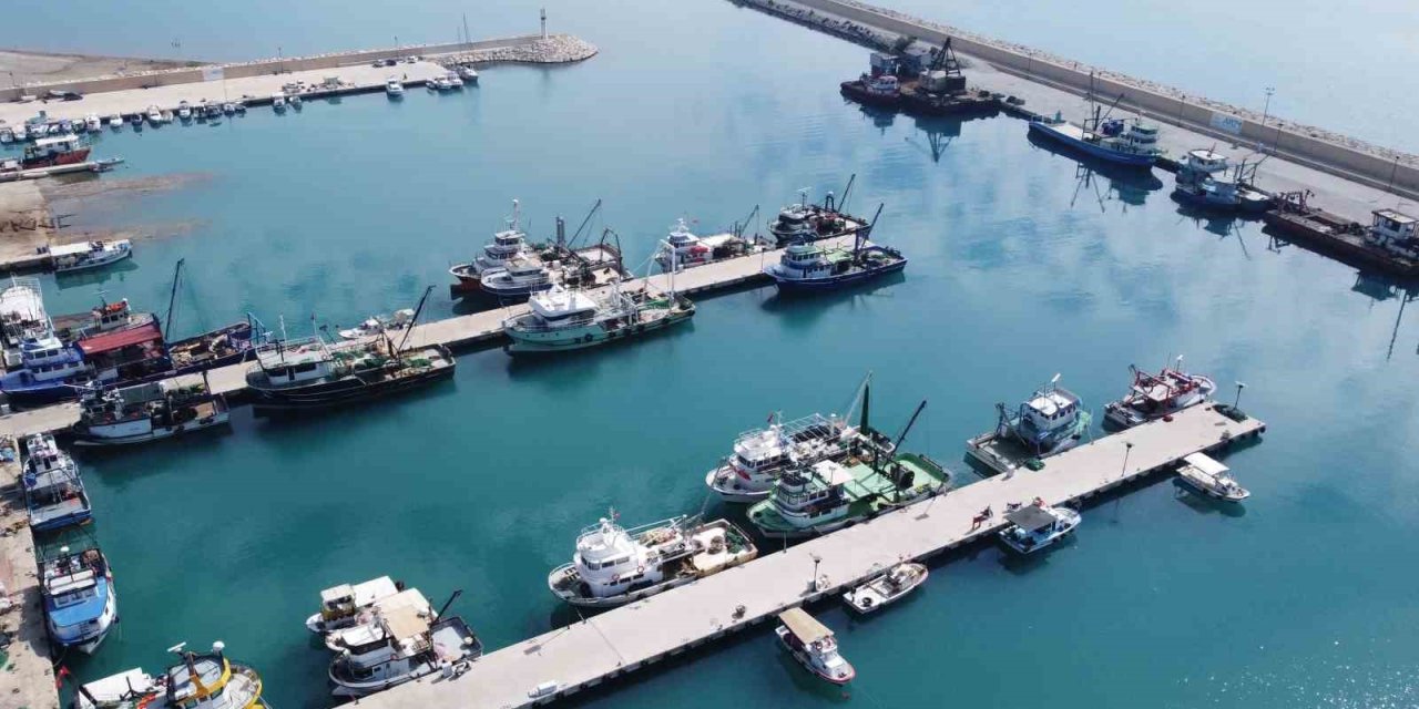 Doğu Akdeniz’de Balık Popülasyonu Azalıyor