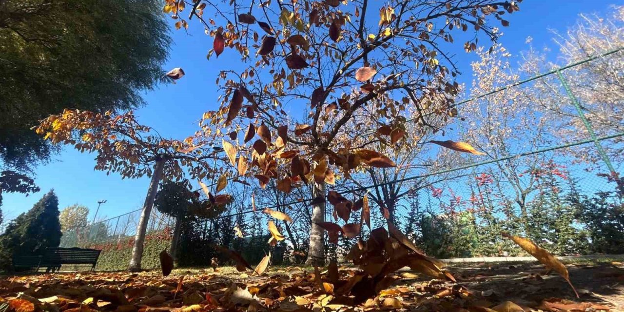 Kanlıkavak Parkı’nda Sonbahar Manzarası Mest Etti