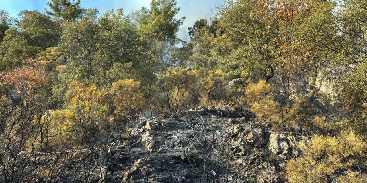 Kumluca’daki Orman Yangını Kısmen Kontrol Alına Alındı