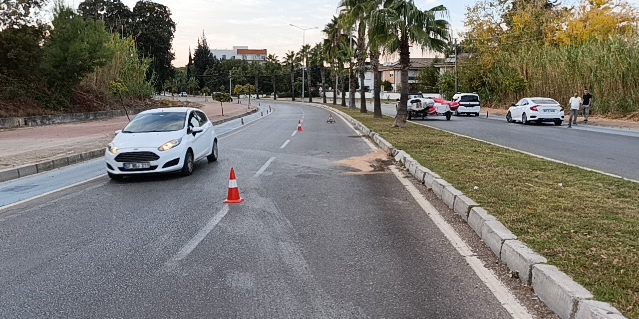 Kontrolden Çıkan Otomobil Palmiyeye Çarptı:1 Yaralı