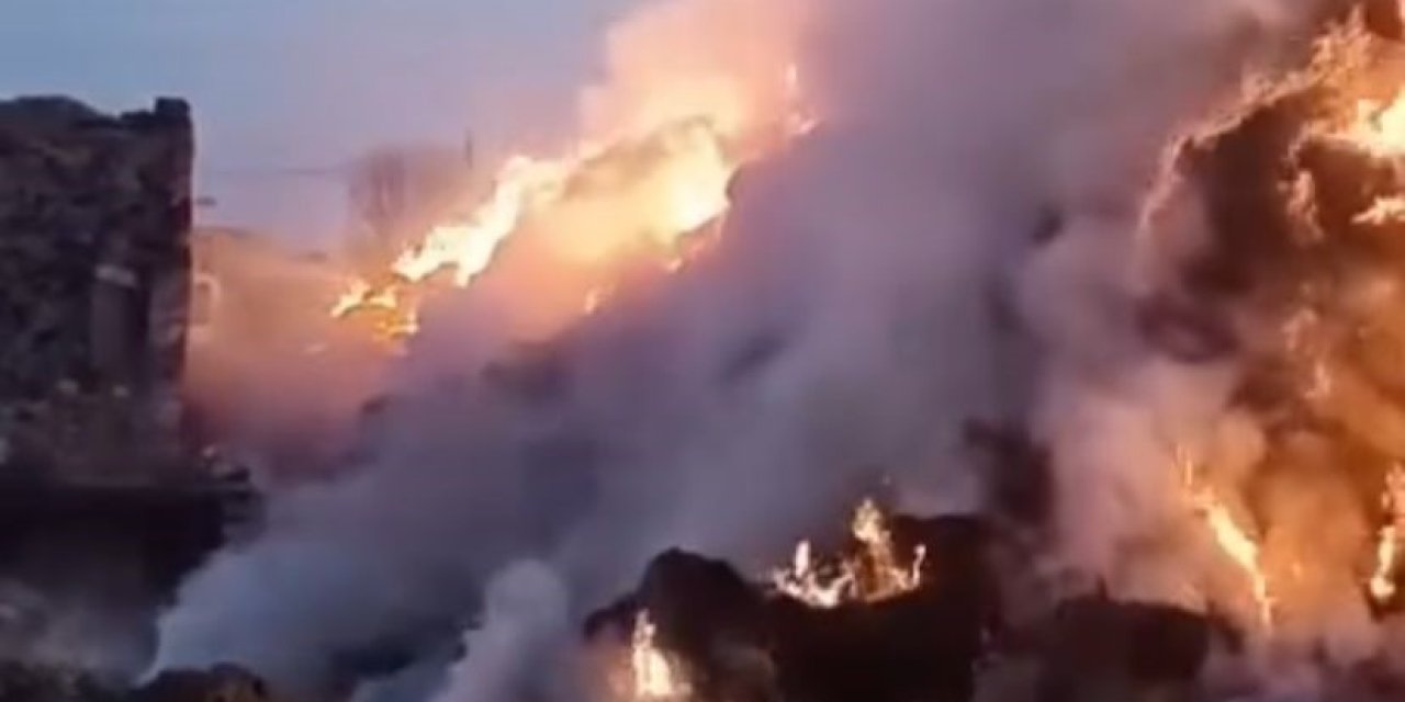 Konya’da 3 Bin Saman Balyası Kundaklandı