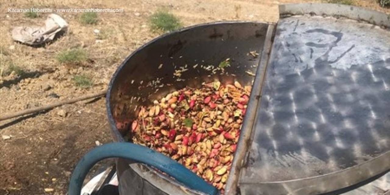 Karaman'ın Çukur Köyünde Antep Fıstığı Mesaisi