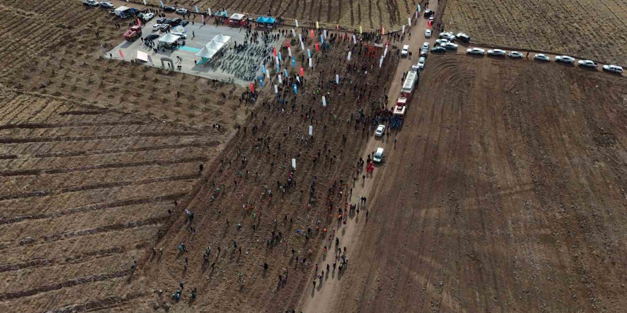Kayseri’de 3 Bin Fidan Toprakla Buluşturuldu