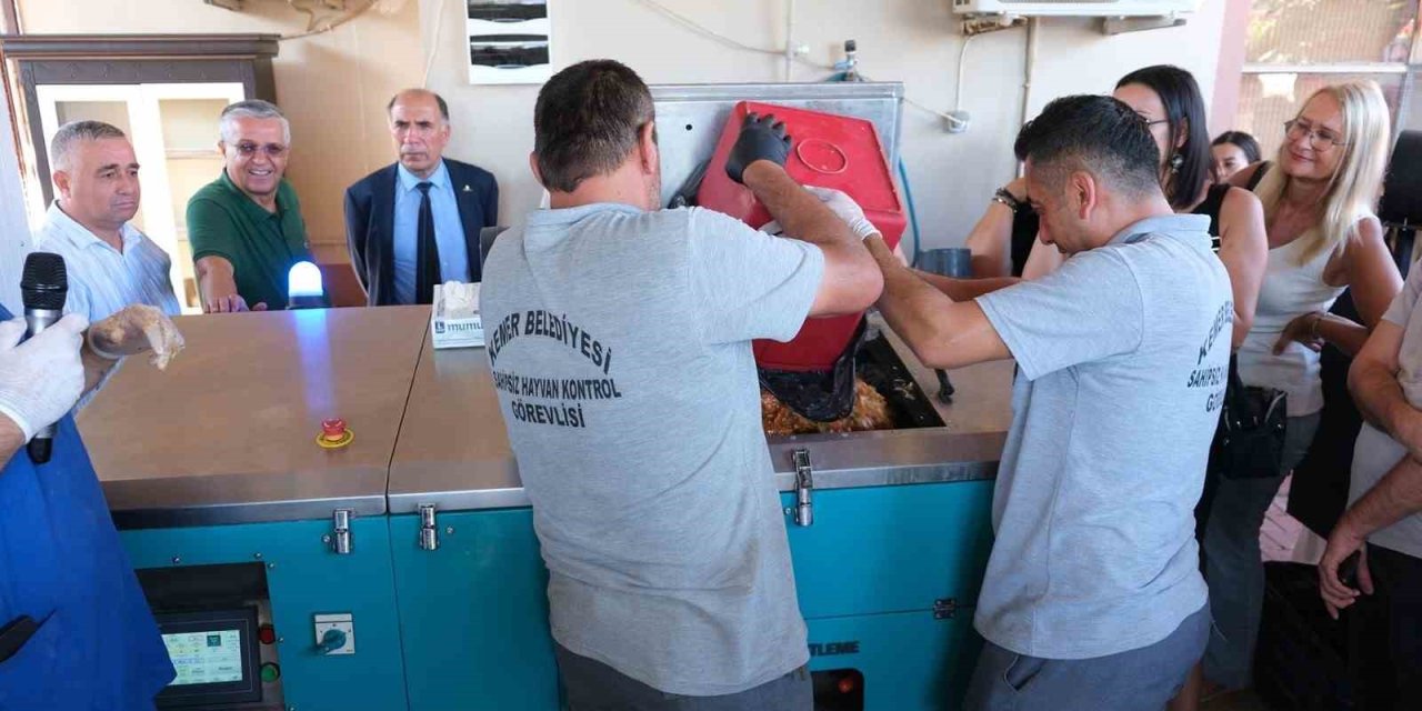 Kemer Belediyesi ‘can Dostlara’ Mama Üretiyor